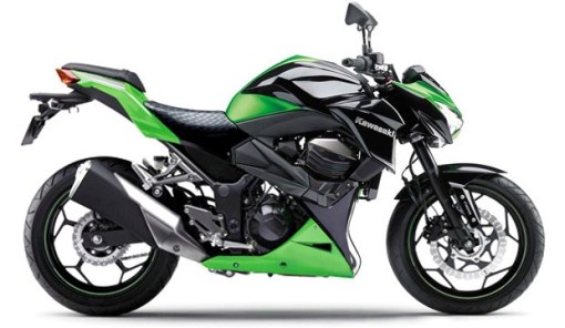 Naked-Kawasaki-Ninja-300-a-possibility-in-the-near-future